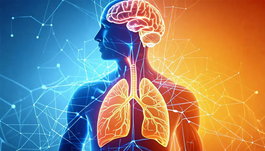 Das autonome Nervensystem und Breathwork